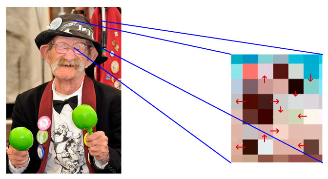 Figure 4