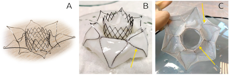 Figure 5