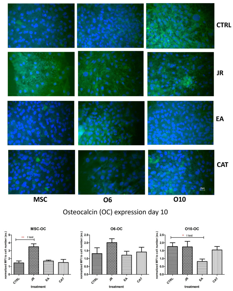 Figure 10
