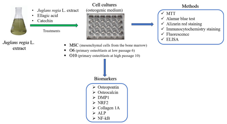 Figure 20