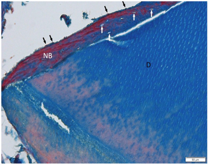 Figure 9