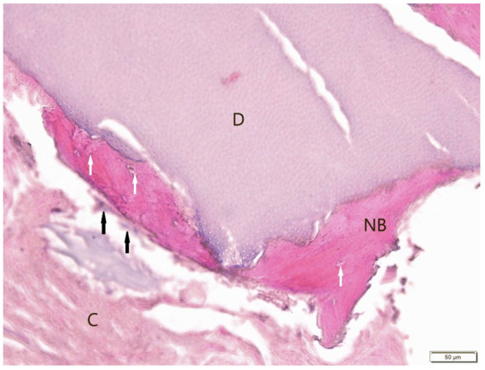 Figure 10