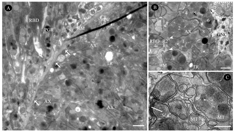 Figure 10