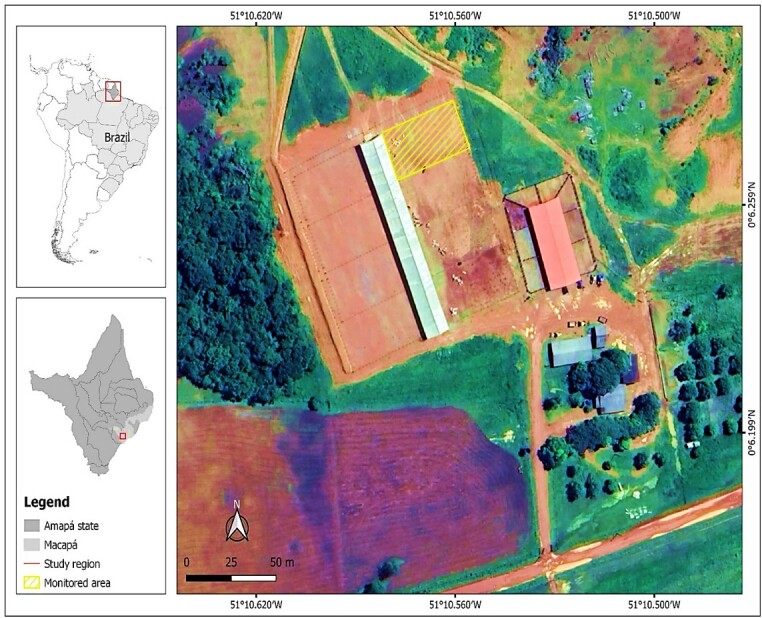 Figure 2
