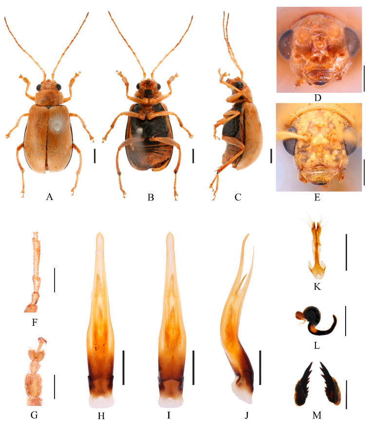 Figure 9