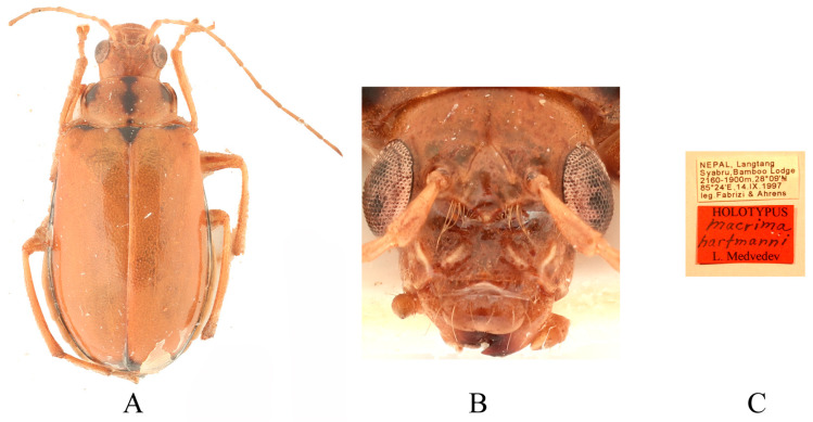 Figure 10