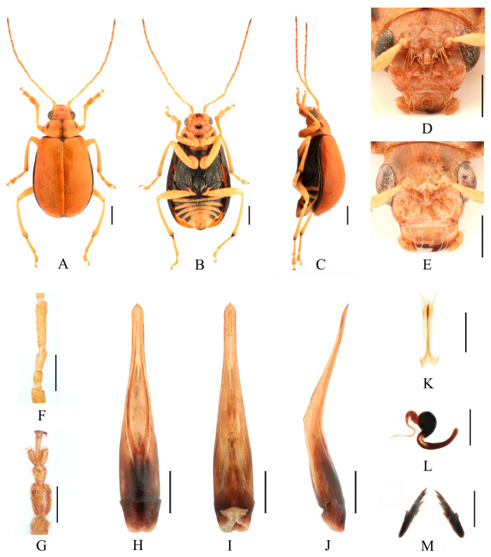 Figure 11
