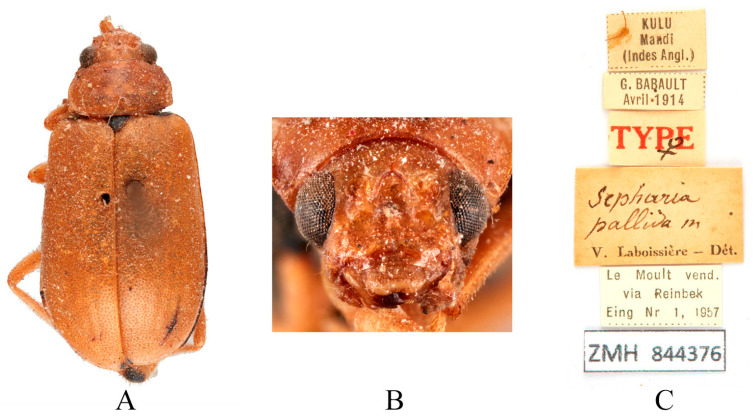 Figure 12