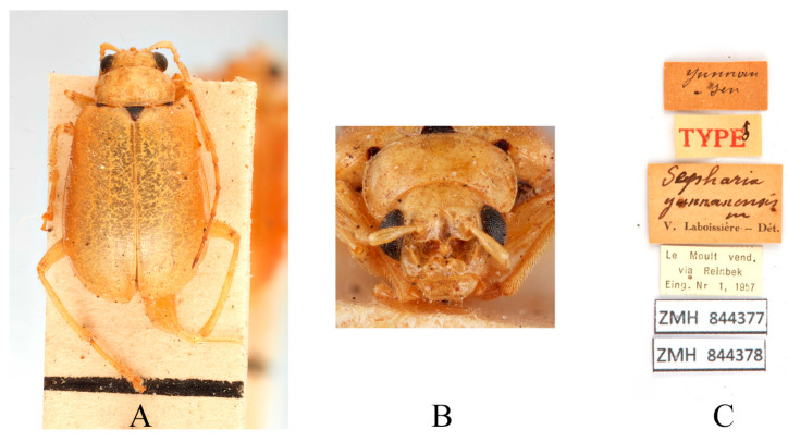 Figure 13