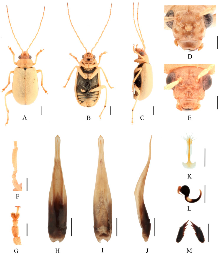 Figure 14