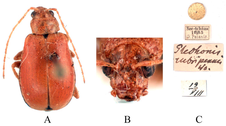 Figure 15
