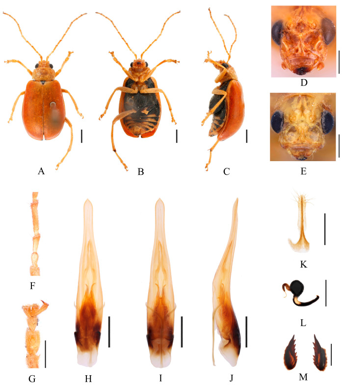 Figure 16