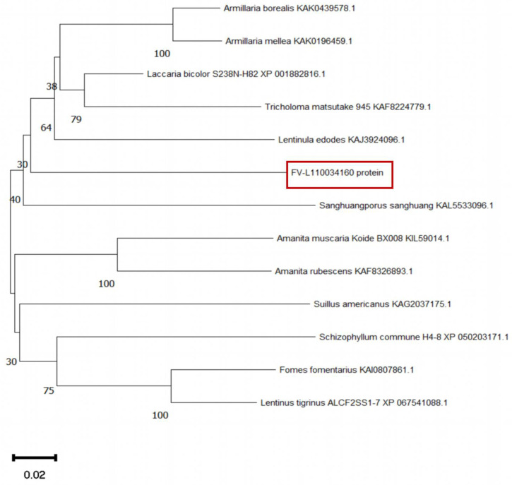 Figure 5