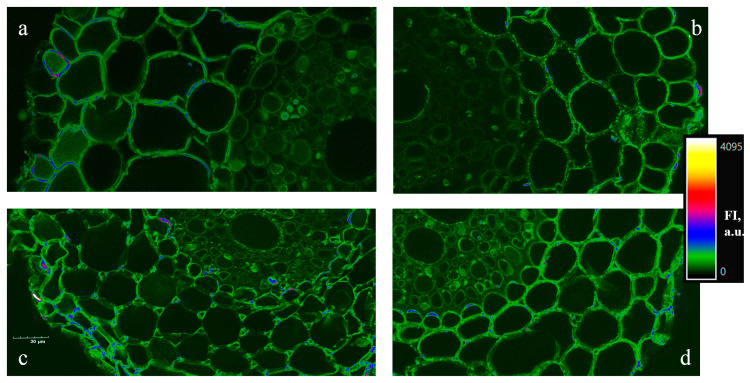 Figure 10