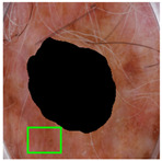 Figure 15