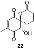 Figure 21