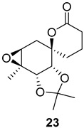 Figure 22