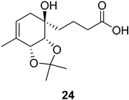 Figure 23