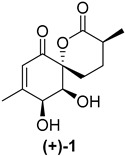 Figure 24