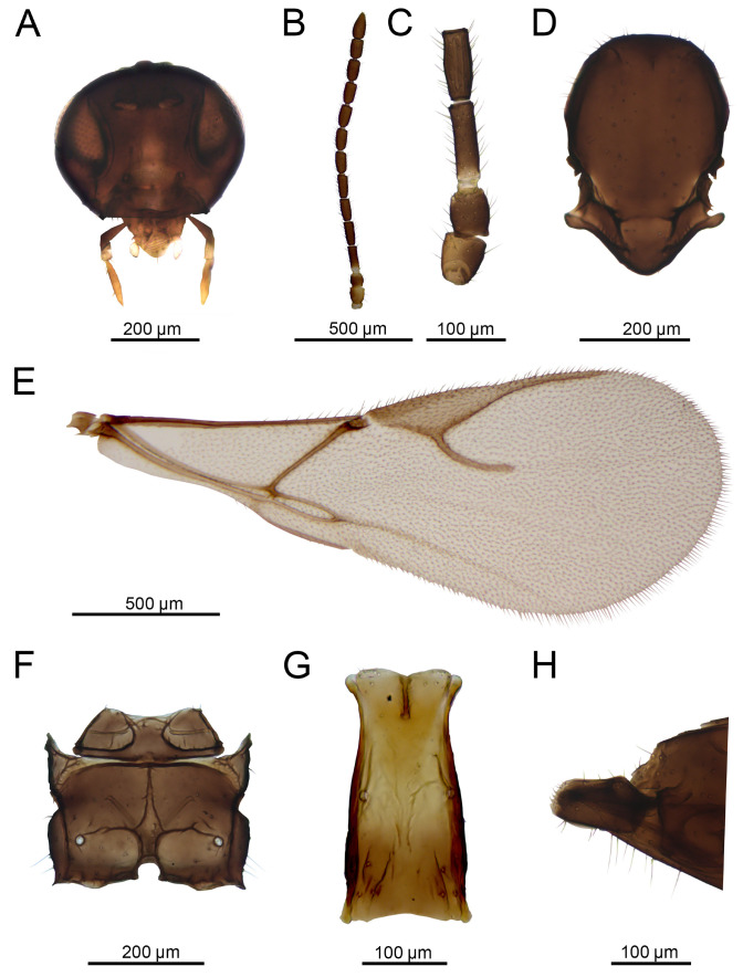 Figure 13