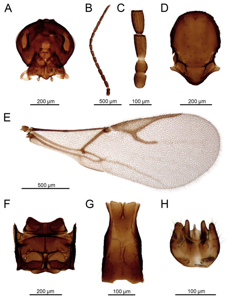 Figure 14