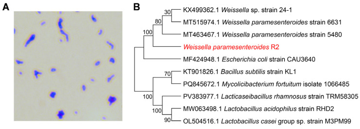 Figure 2