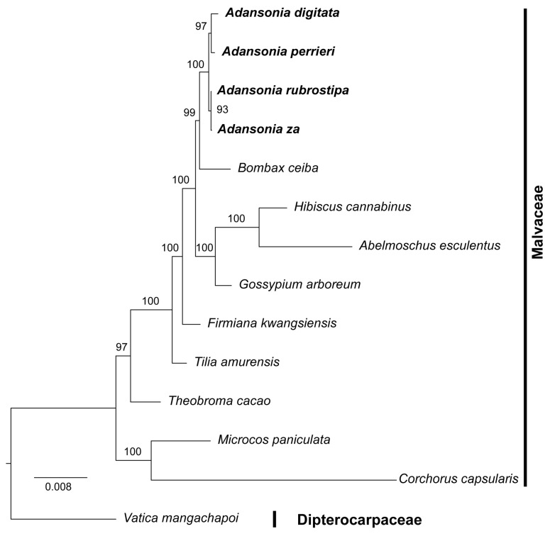 Figure 9