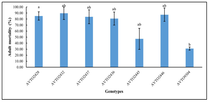 Figure 5