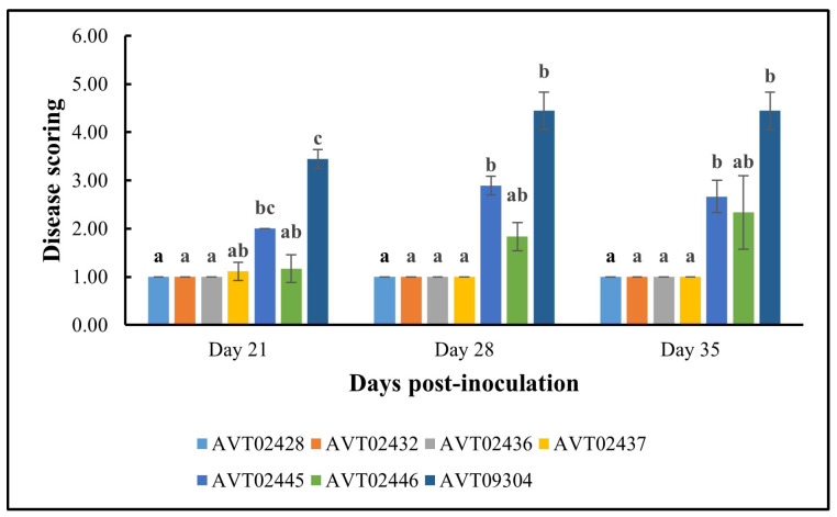 Figure 7