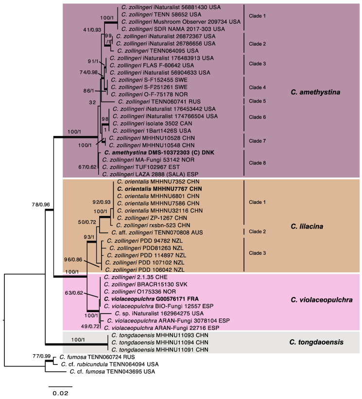 Figure 2