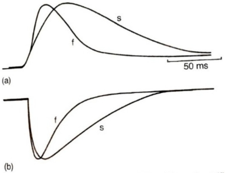 Figure 8