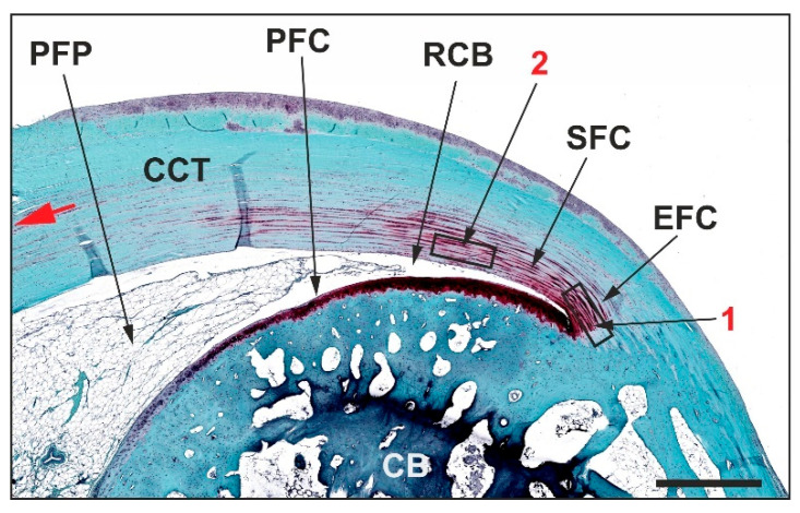 Figure 13