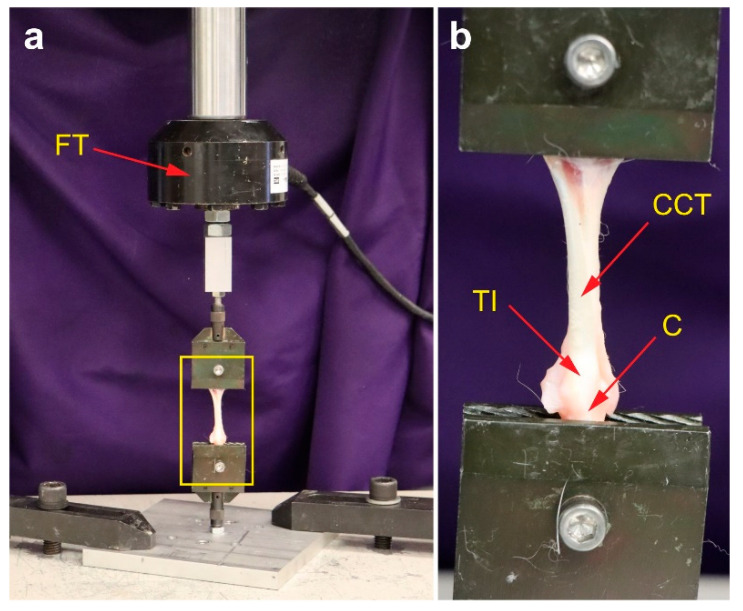 Figure 23