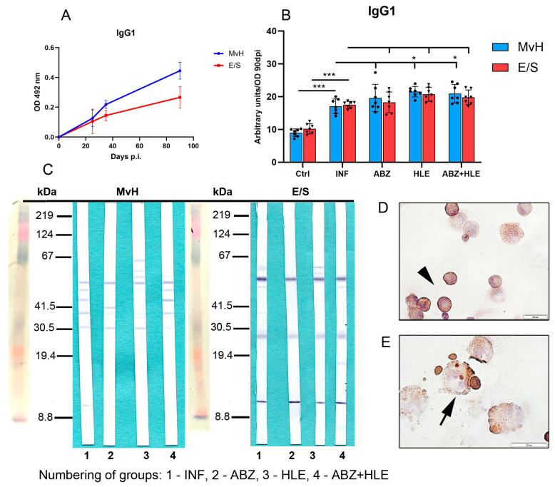 Figure 10