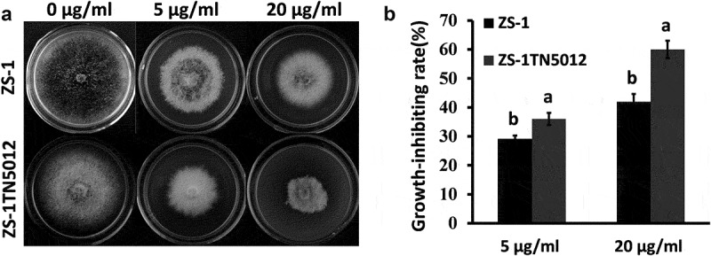 Figure 6
