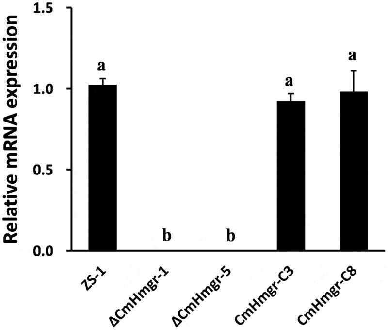 Figure 7