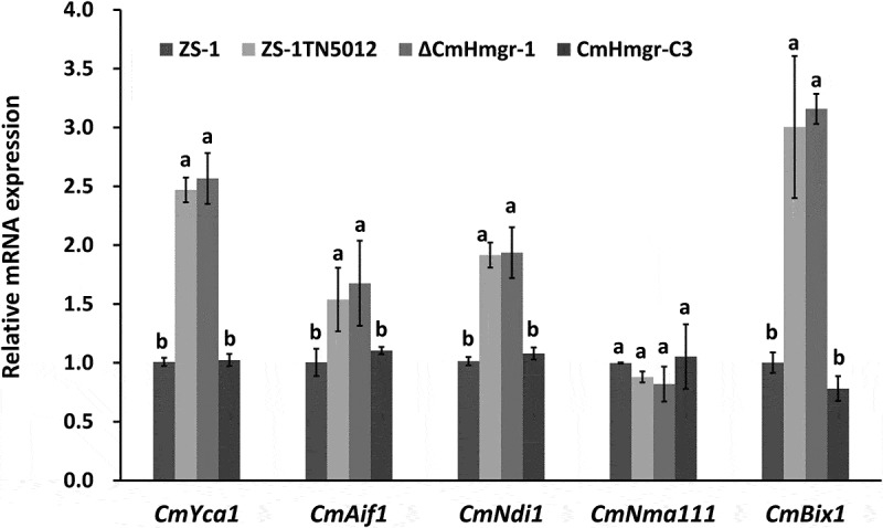 Figure 14