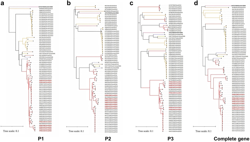 Figure 7
