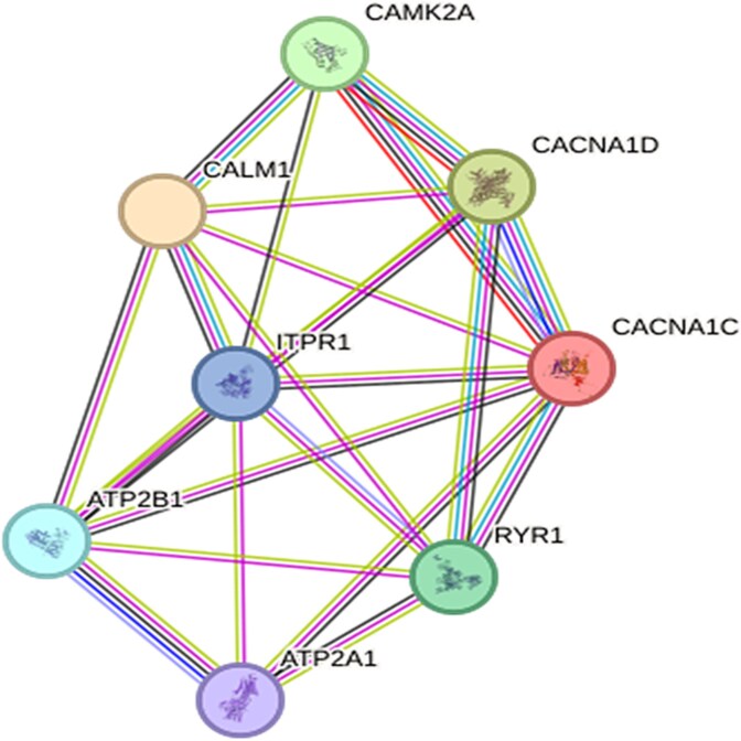 Figure 5