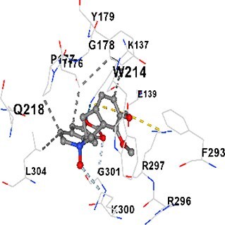 Figure 11