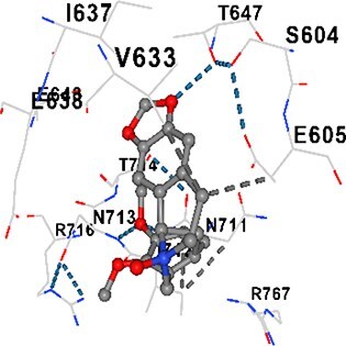 Figure 12