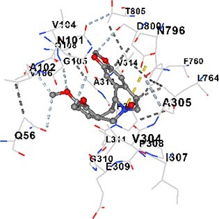 Figure 13