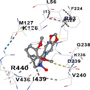 Figure 15