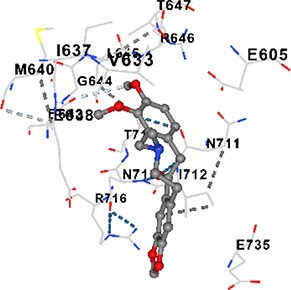 Figure 17