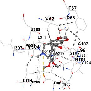 Figure 18
