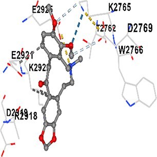 Figure 19
