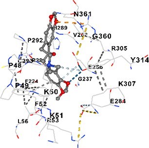 Figure 20