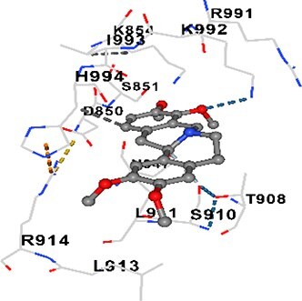 Figure 23