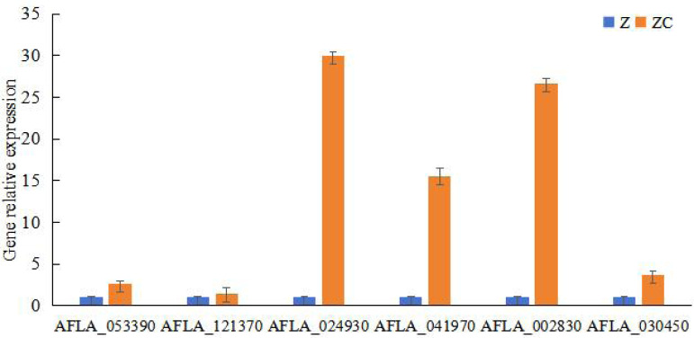 Figure 4