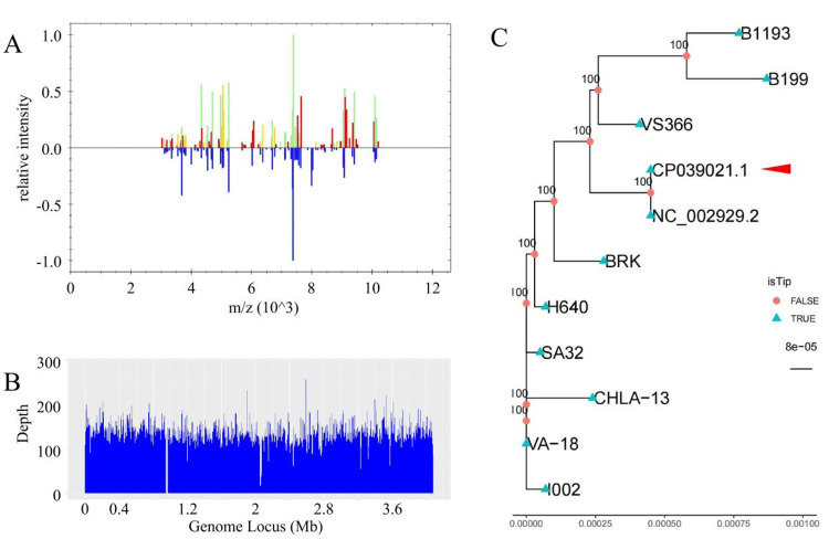 Figure 2